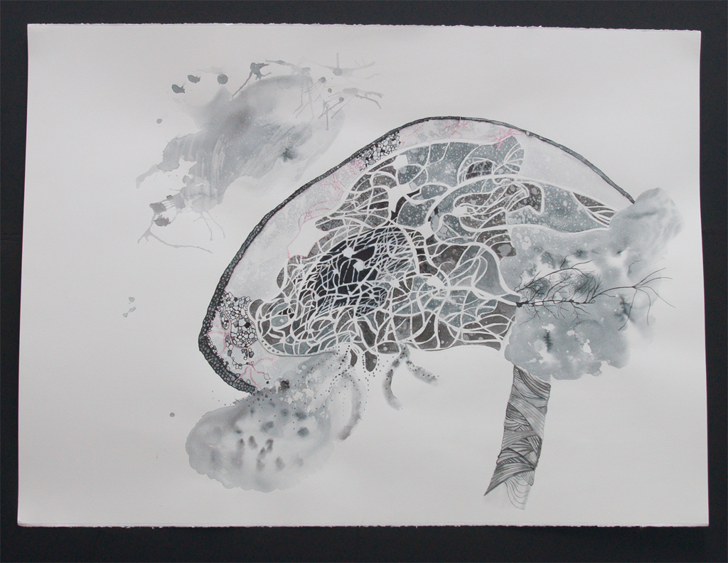 Cerveau