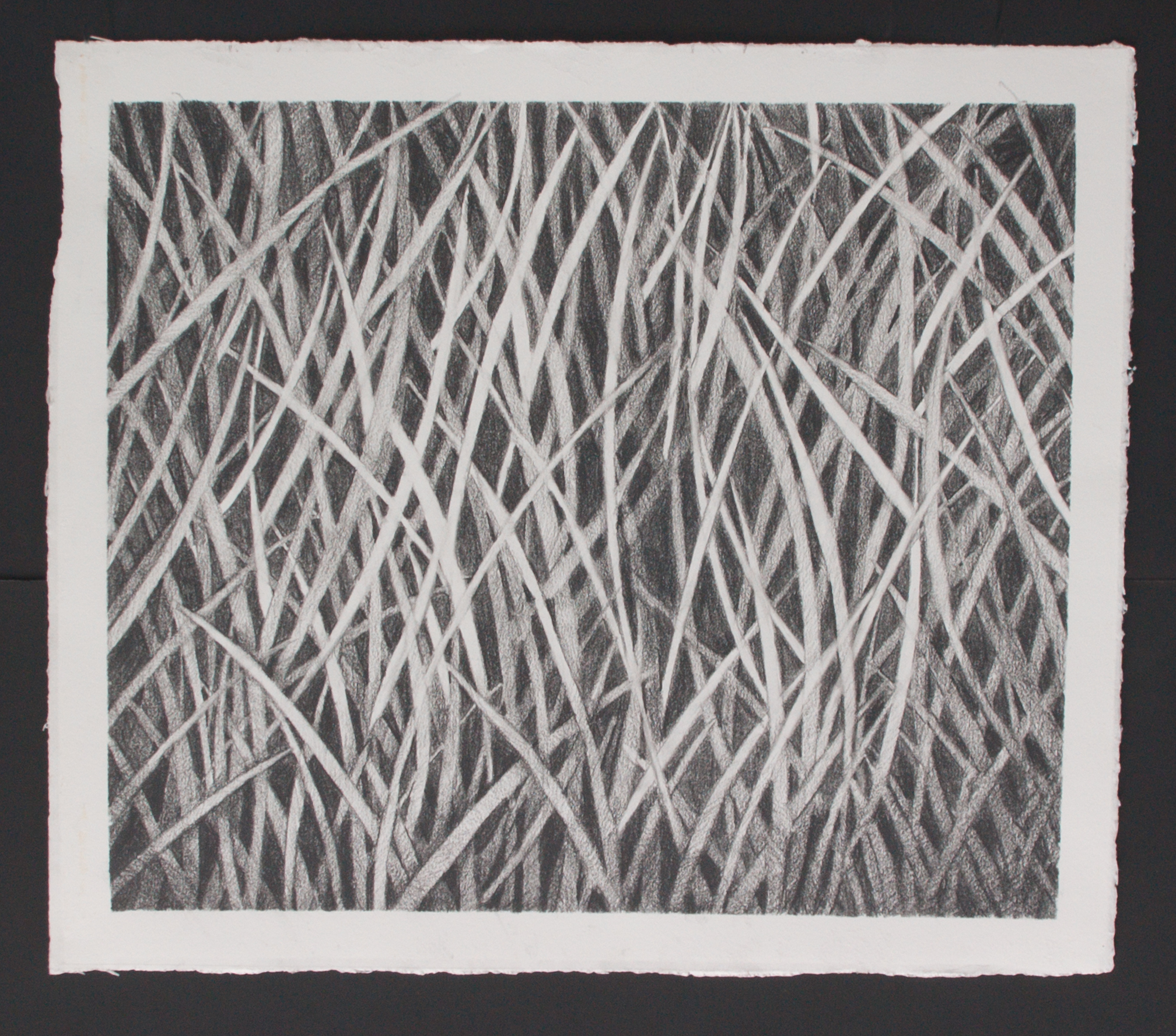 Herbes