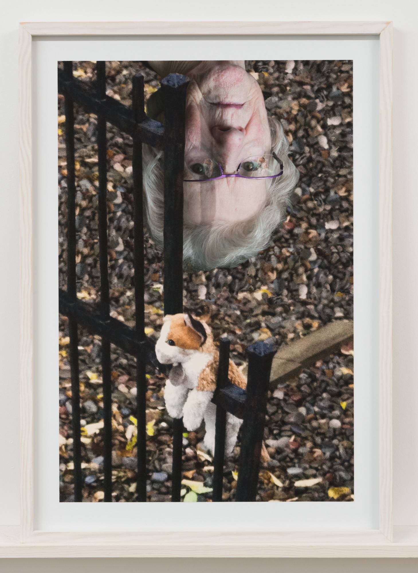 Un portrait de femme la tête à l'envers et une peluche accrochée sur une clôture Diane Dubeau Projet sur la démence